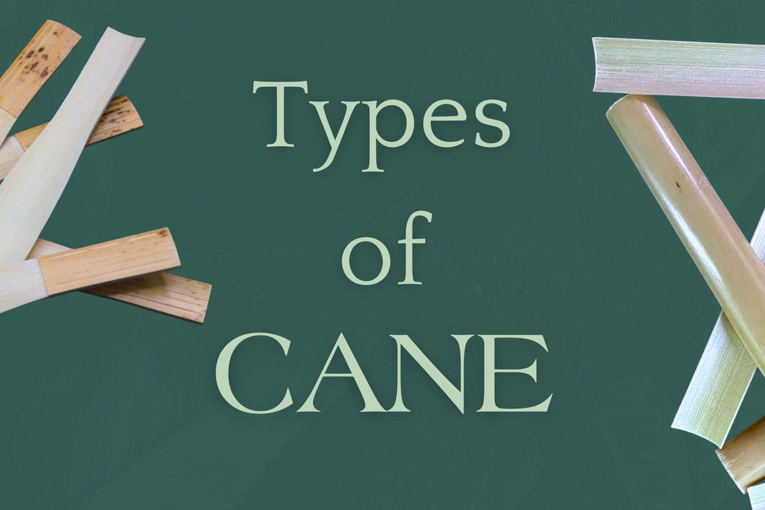 Types of Bassoon Cane